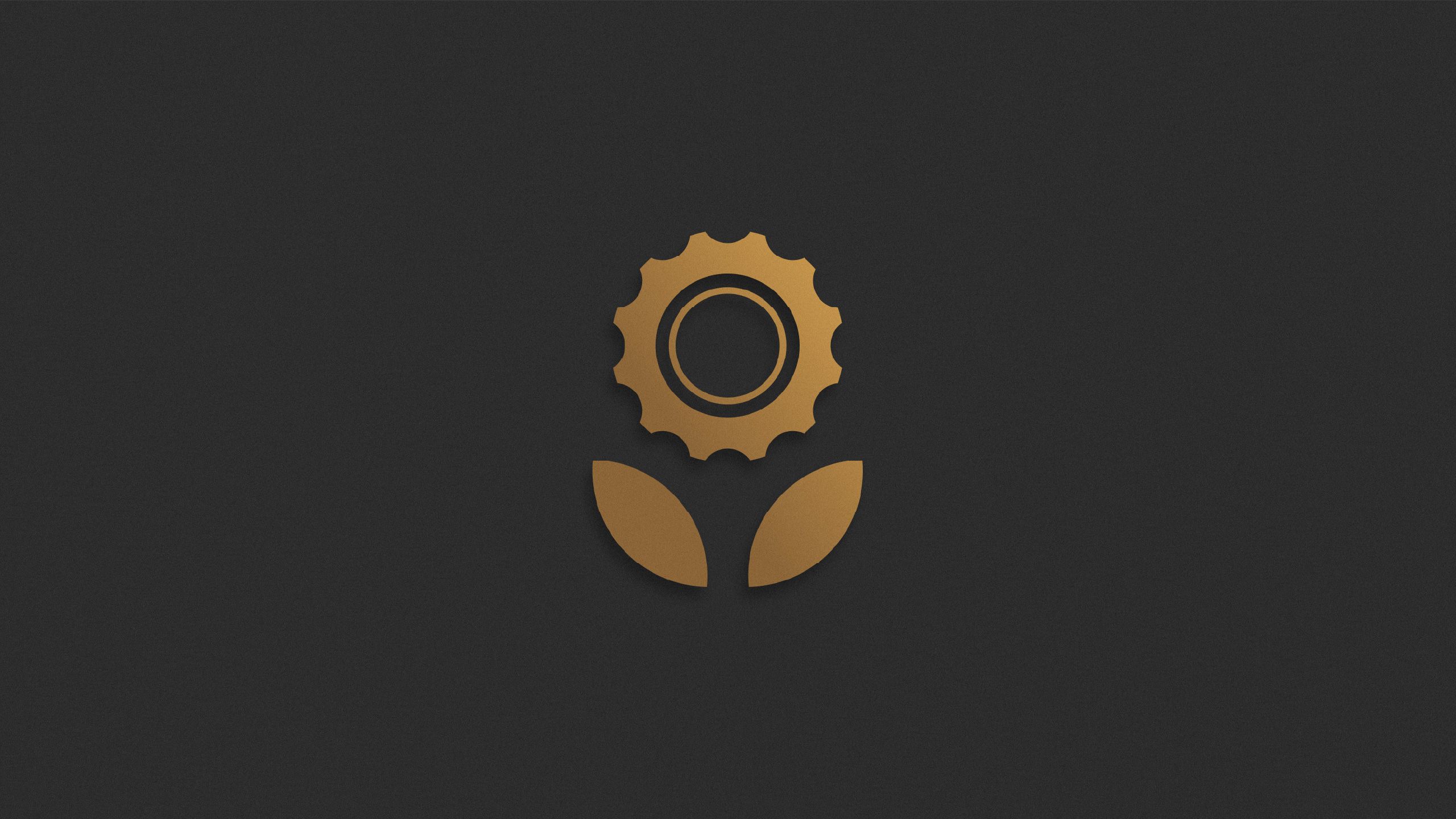 Mechanical Solutions branding project 1