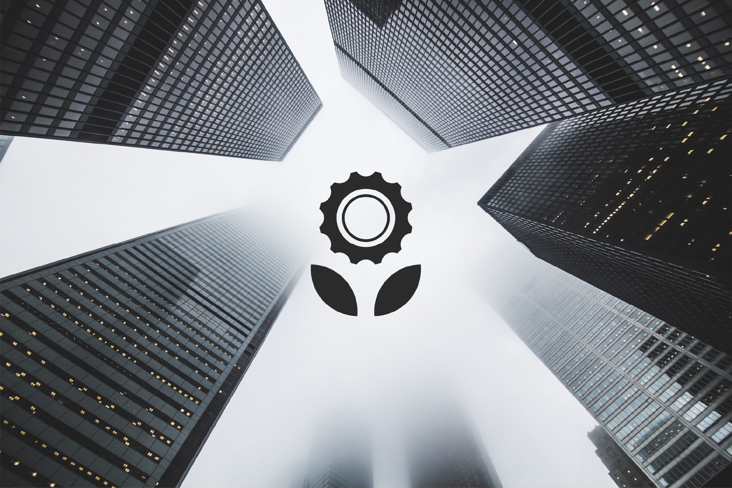 Mechanical Solutions branding project 11