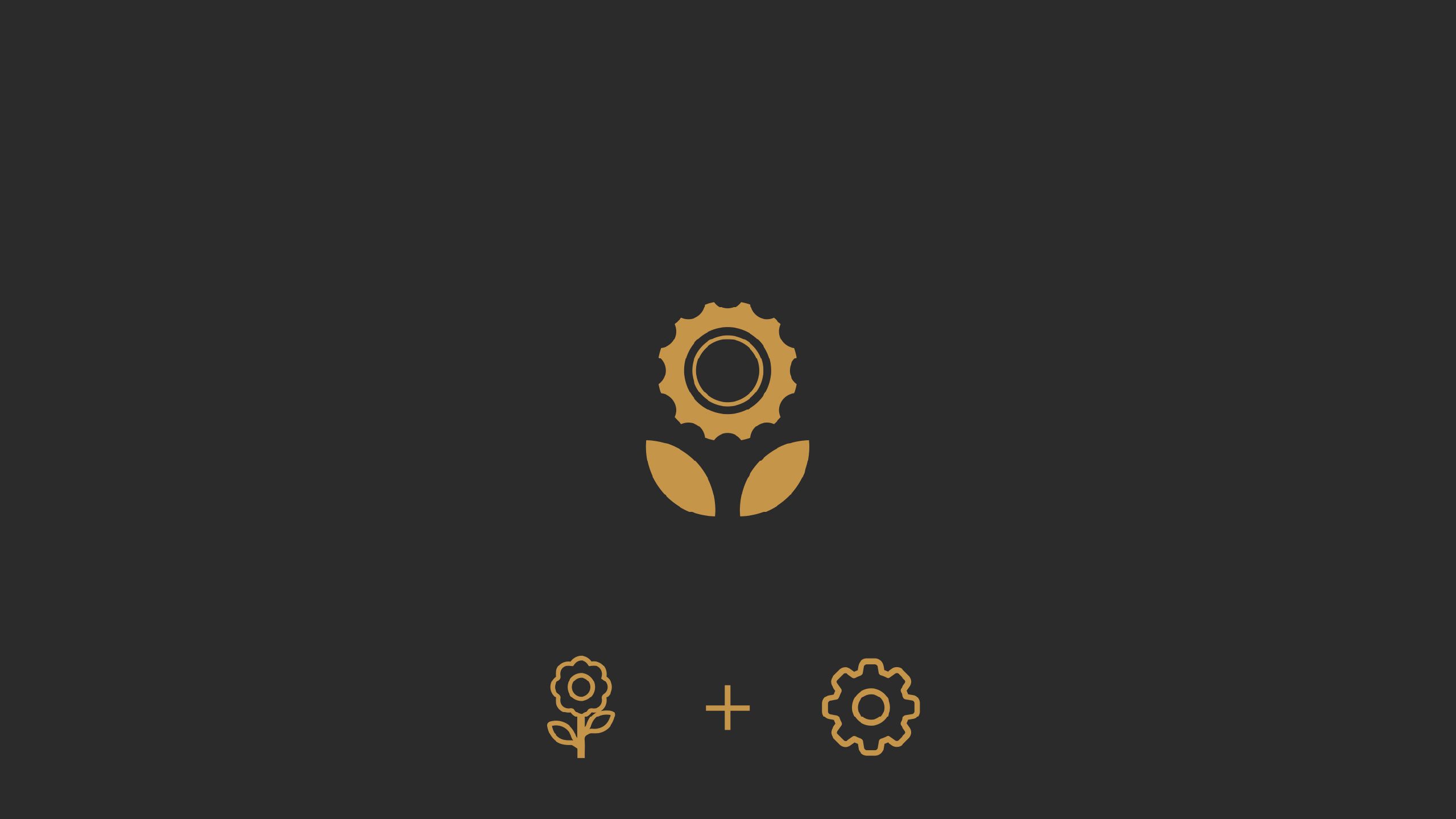 Mechanical Solutions branding project 5