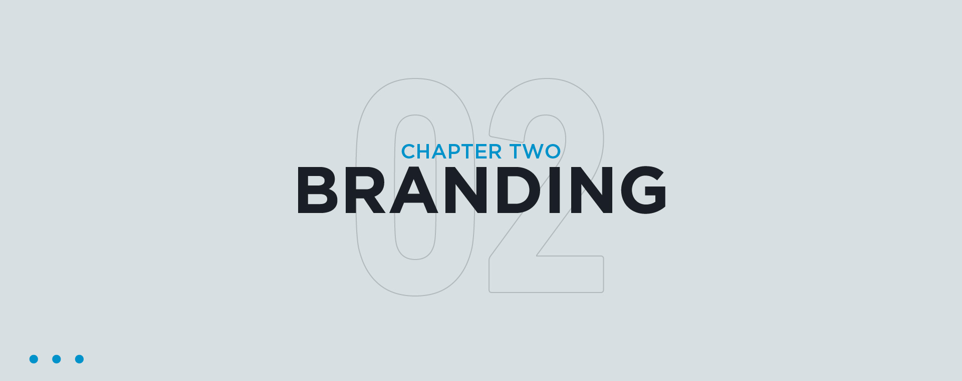 Chapter two branding